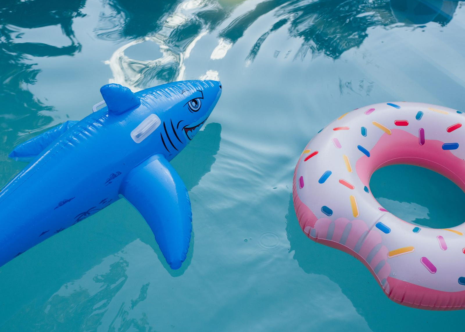 shark-week-july-7-11-1600-x-1300-px-copy