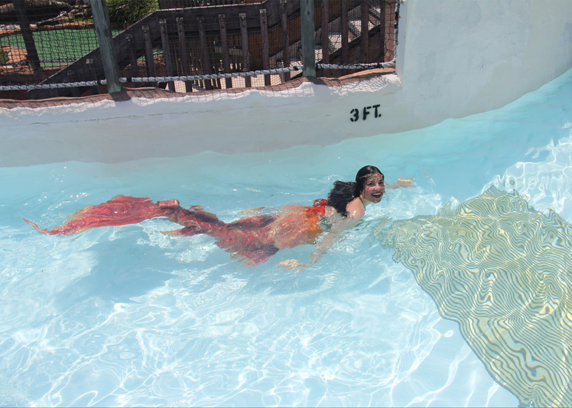mermaid-meet-and-greet mermaid-meet-and-greet